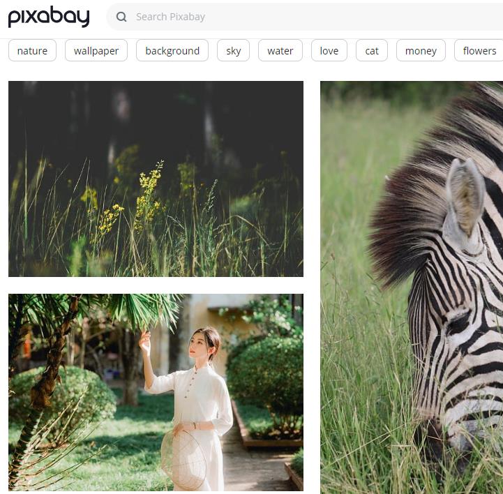 pixabay 270万张免费图片