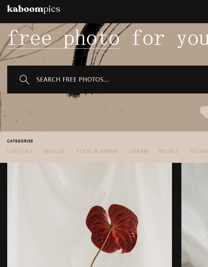 kaboompics  建筑、小清新类图片