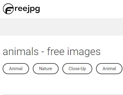 freejpg 色彩靓丽的风景动植物