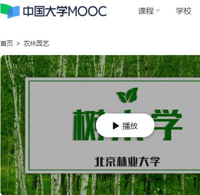 北京林业大学  树木学