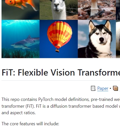 Diffusion模型Transformer的FIT