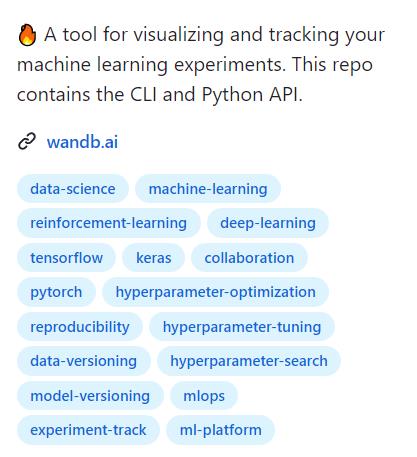 wandb 可视化和保存实验结果