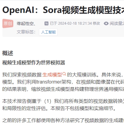 openai sora技术报告(中文)