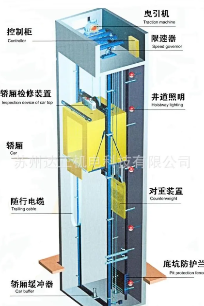 电梯坠下着地前跳起能否避免死亡