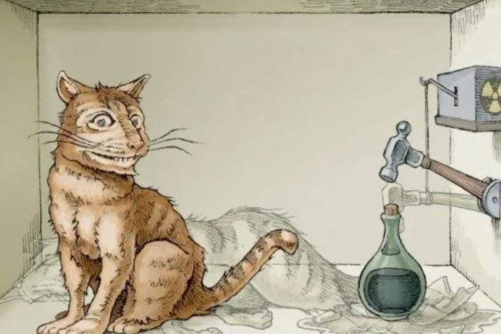 薛定谔的猫到底是什么意思？