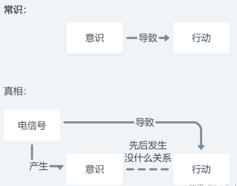 粒子遵循物理规律，意识自由吗