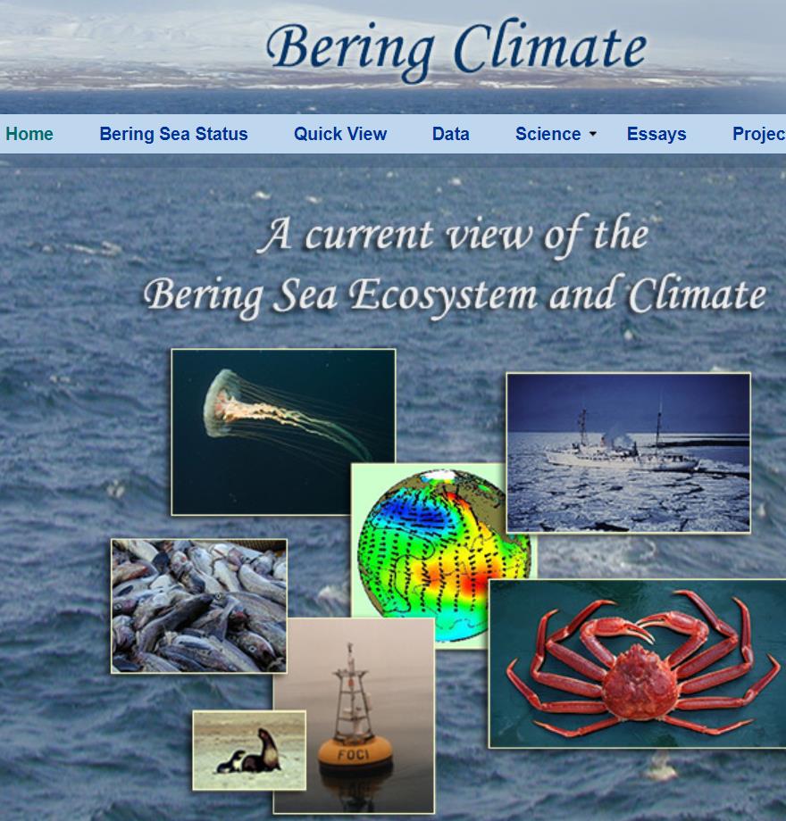 Bering Sea 气候数据