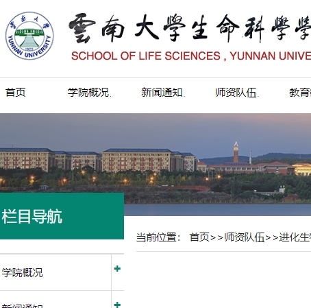 徐星  云南大学 主页