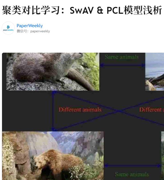 SWaV 论文解读