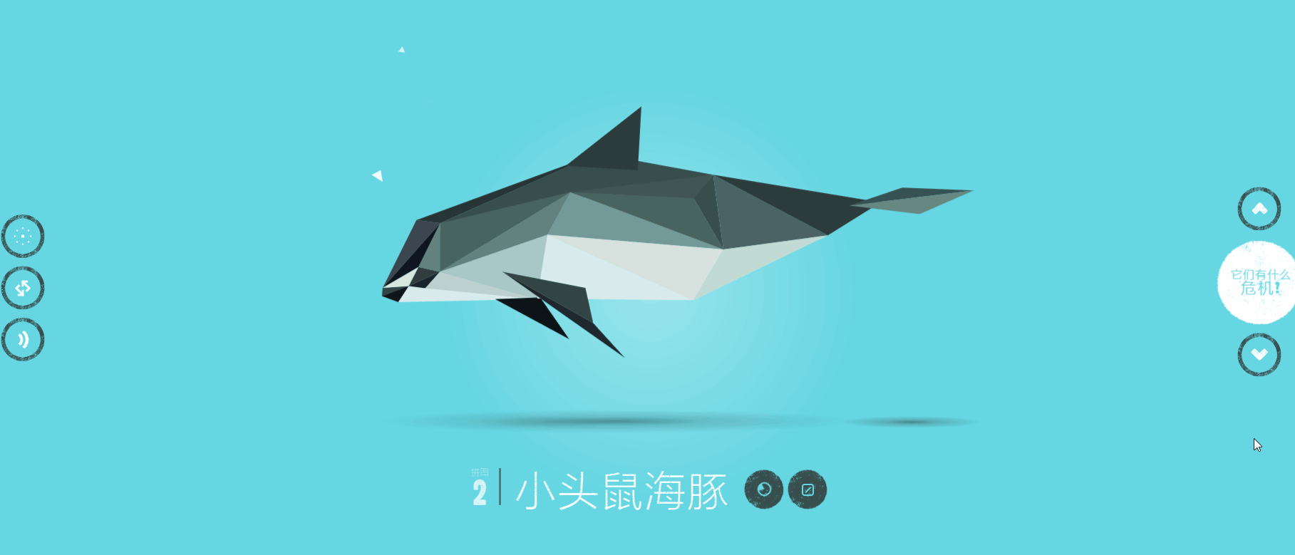 频临灭绝的动物拼图碎片