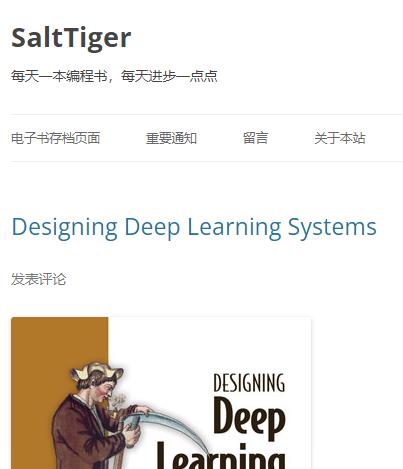 salttiger 每天推荐一本编程书