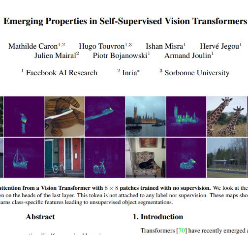 DINO transformer加自监督