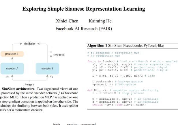 SimSiam 孪生表征学习