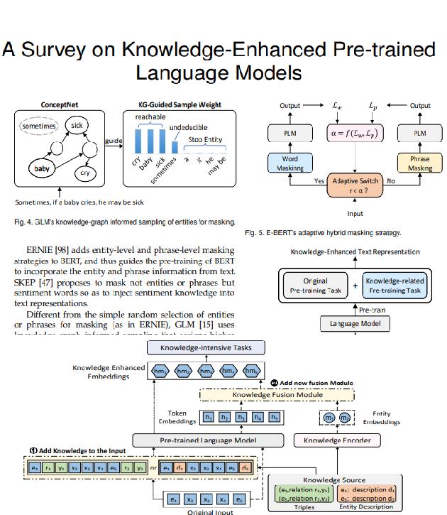 知识增强的预训练模型