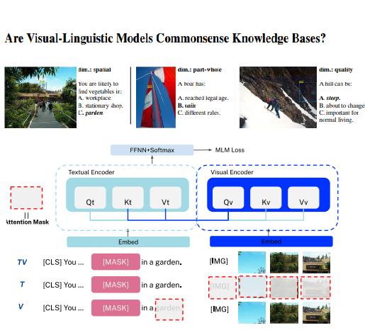 视觉语言模型是常识知识库吗