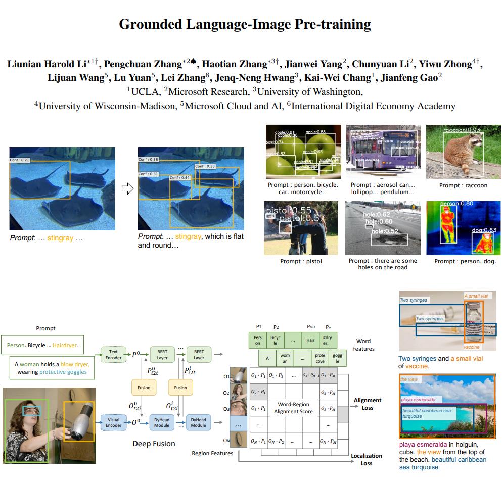 GLIP 联合目标检测和文本定位