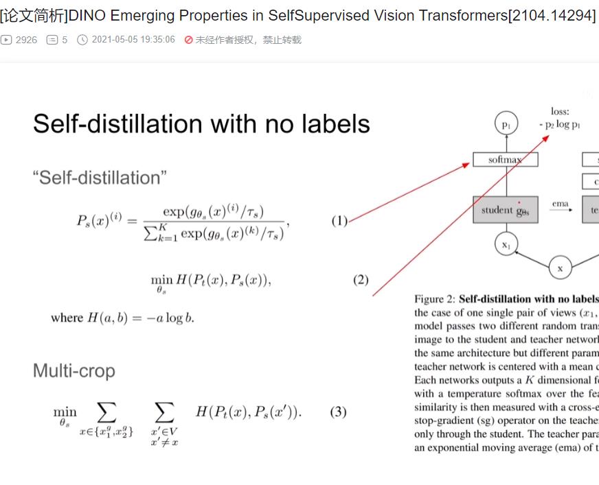 DINO B站论文解读