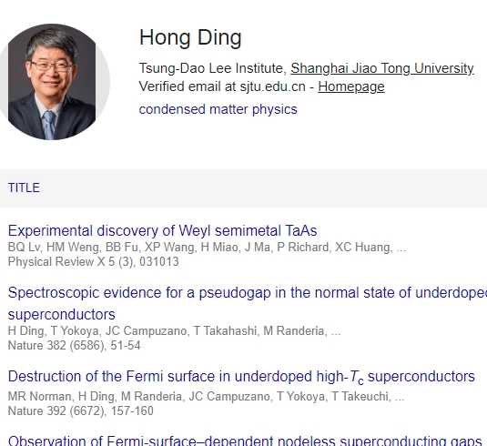 丁洪 Google Scholar