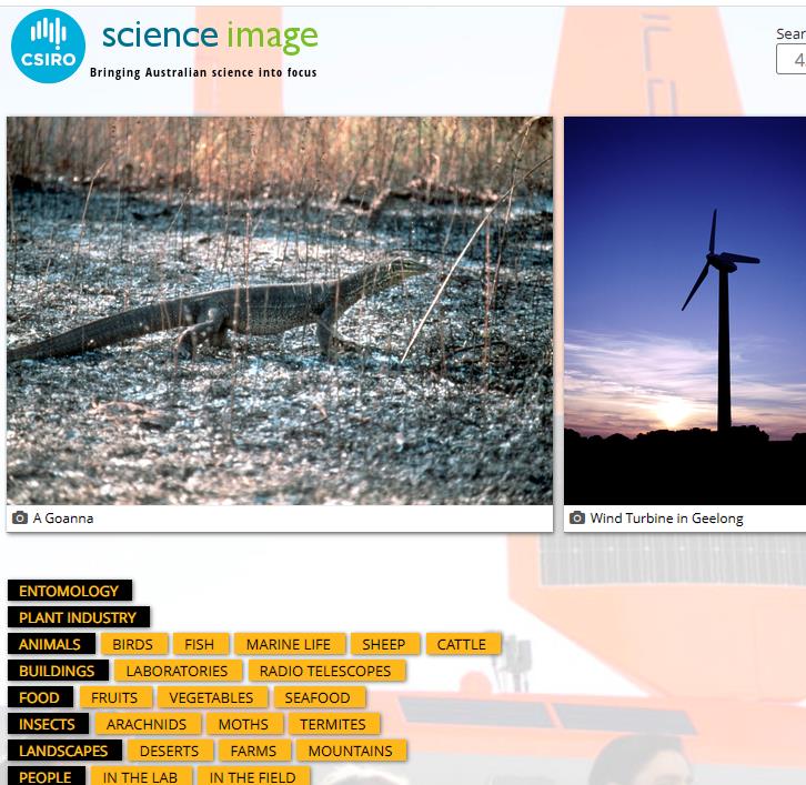 scienceimage 4318份图像和视频