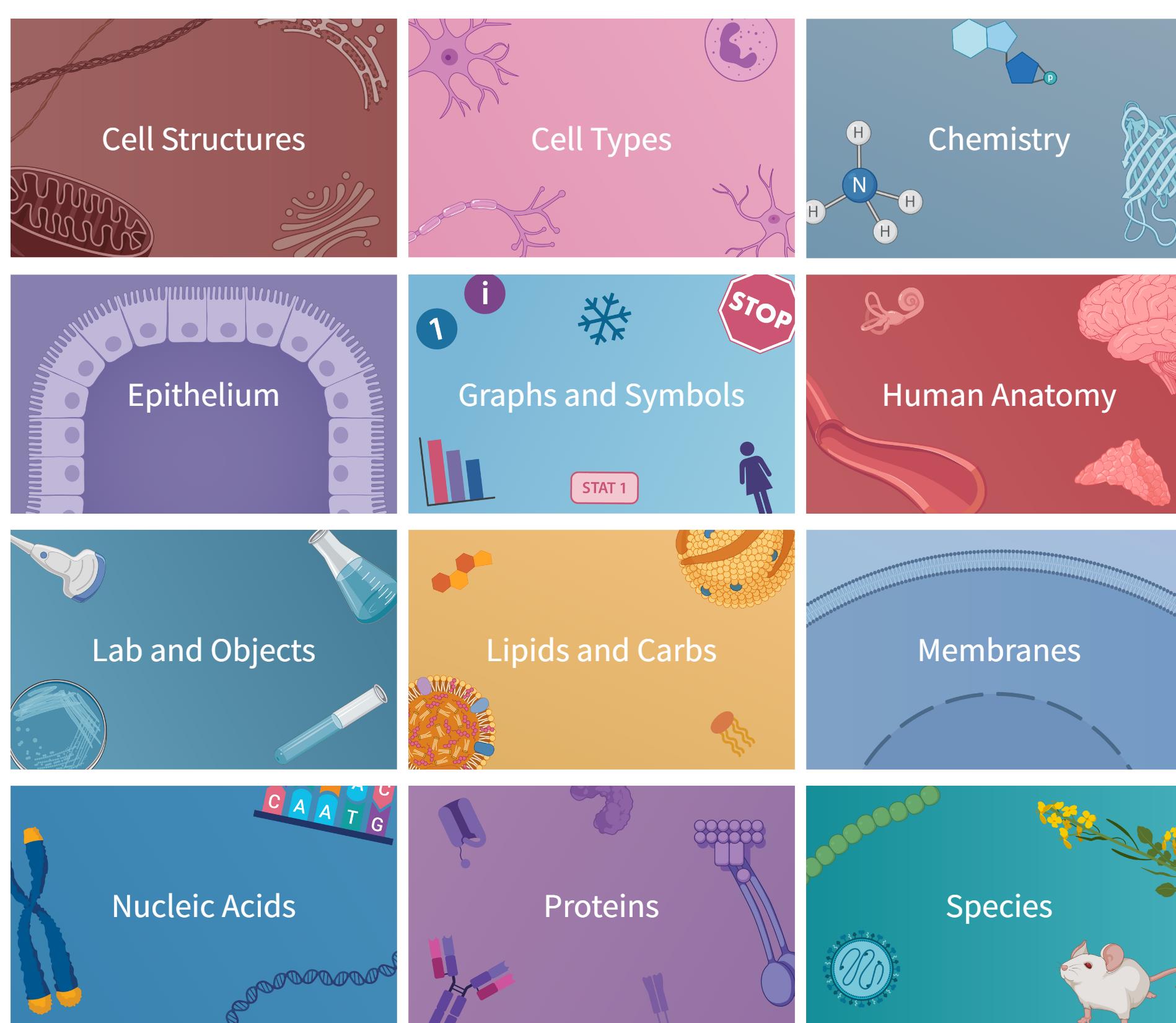 biorender 生命科学领域绘图
