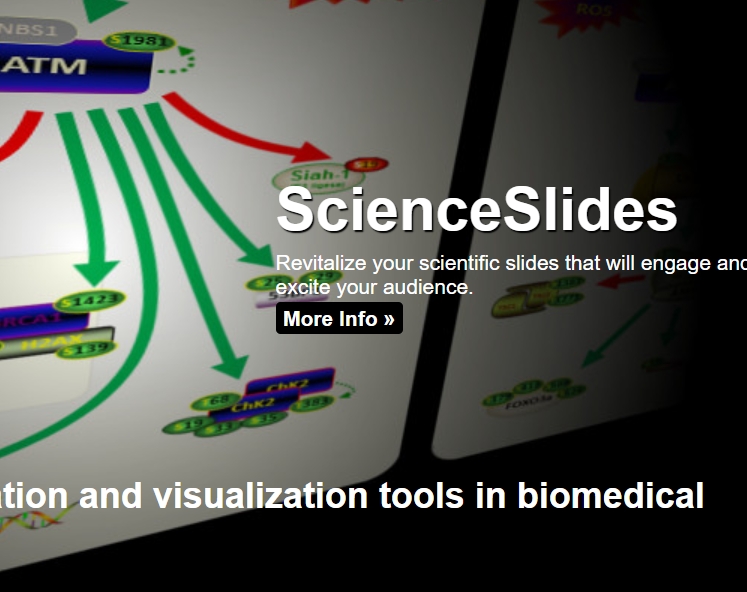 ScienceSlides 生物医学科研绘图