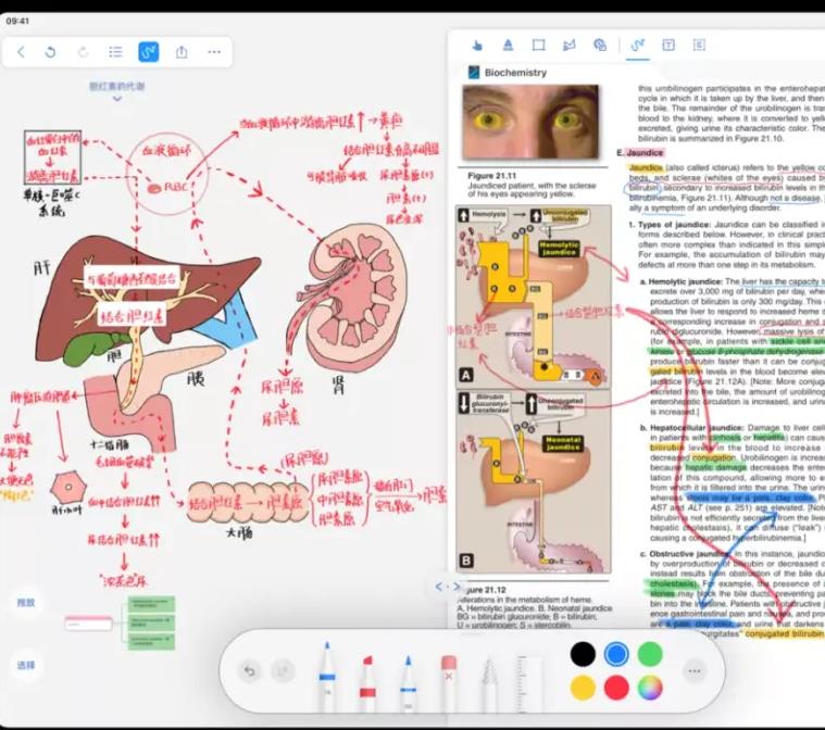 marginnote:读论文神器