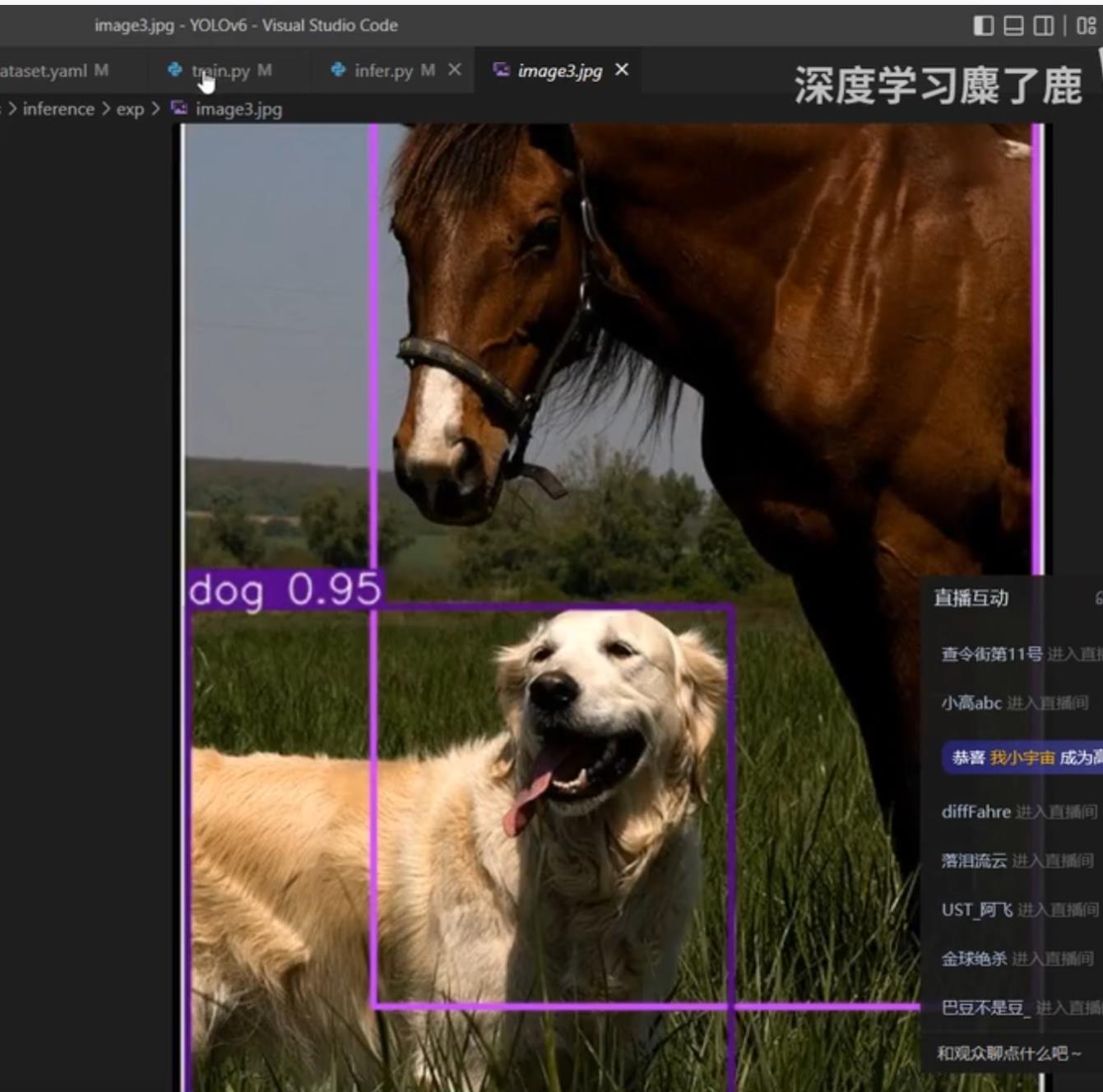 yolov6 B站现场运行演示