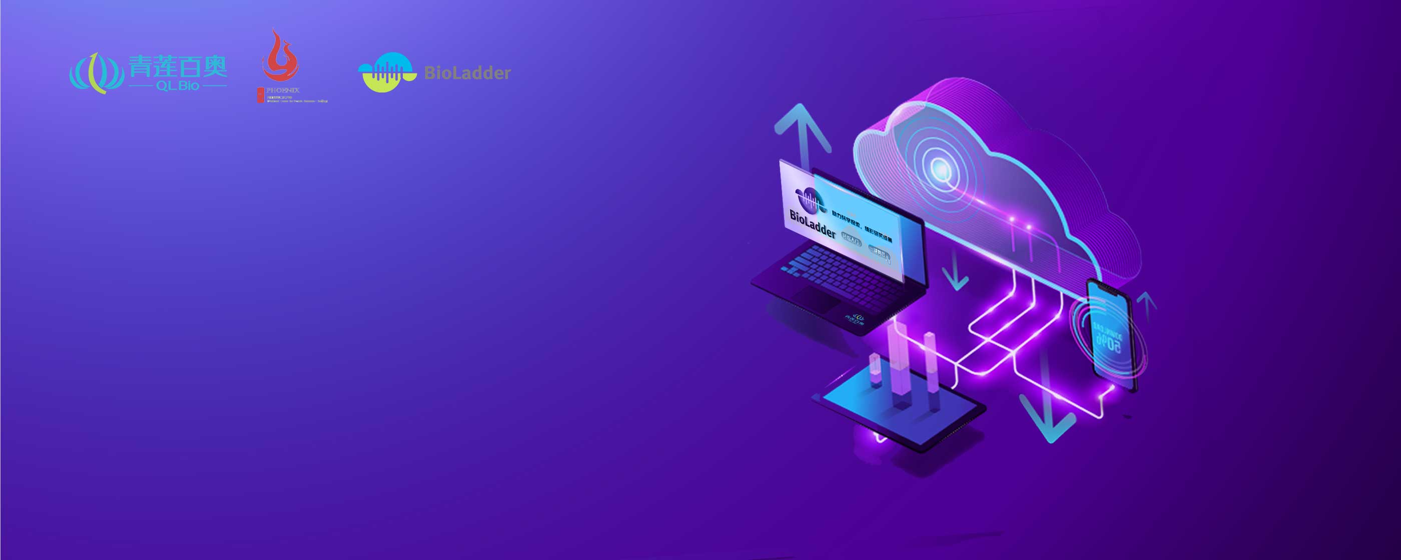 bioladder-作图网站