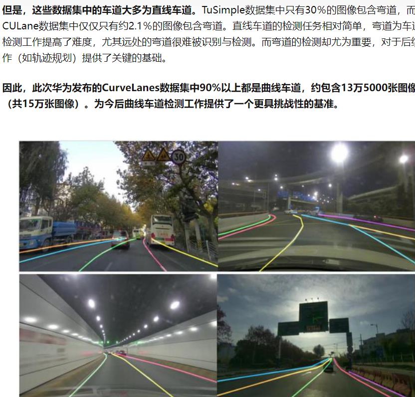 curvelanes 介绍 知乎