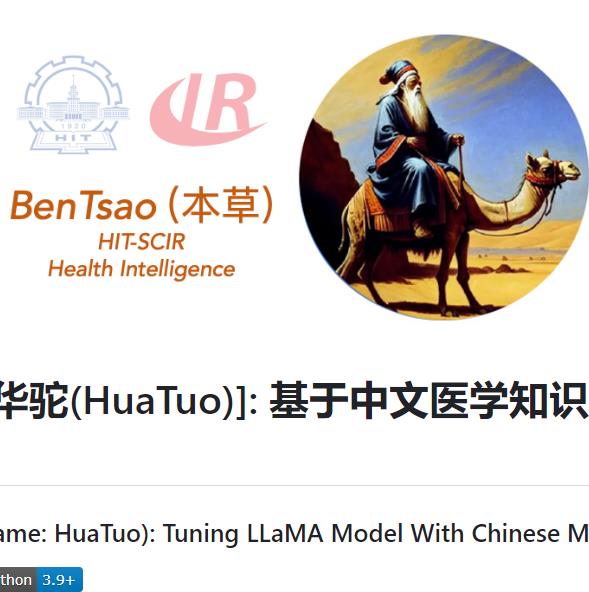 医疗领域中文大模型:华佗