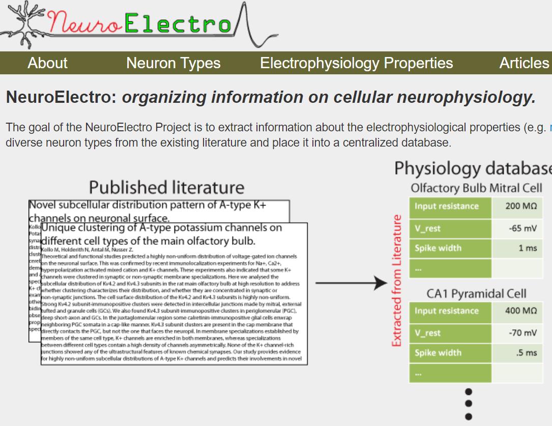 neuroelectro细胞神经生理学汇总