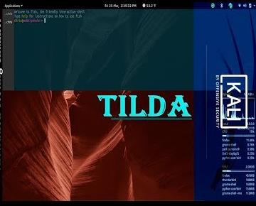 Tilda极简设计,自定义外观