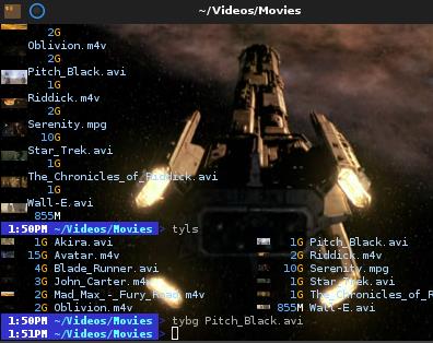 Terminology简洁设计自定义外观